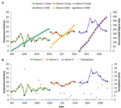 Characterization of Bacterial Community Dynamics of the Human Mouth Throughout Decomposition via Metagenomic, Metatranscriptomic, and Culturing Techniques